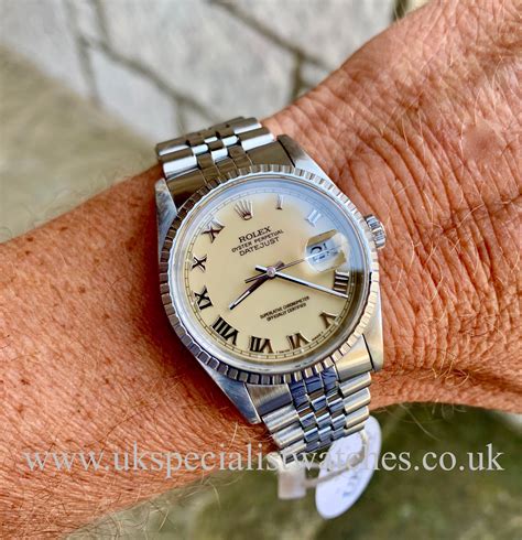 rolex datejust ivory dial